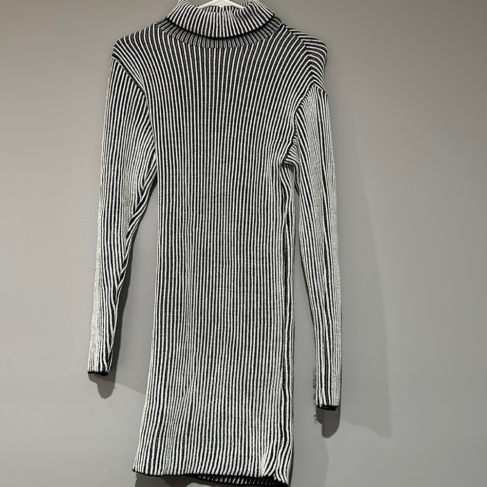 PLT Striped Sweater Dress